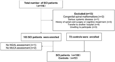 Serum neutrophil gelatinase-associated lipocalin as a potential biomarker for cognitive decline in spinal cord injury